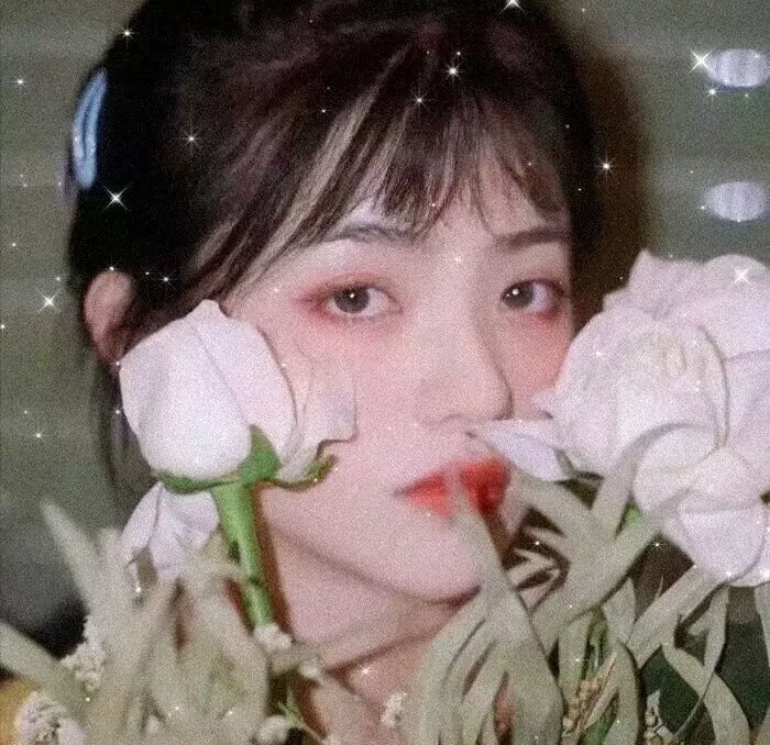 贵妇失踪记